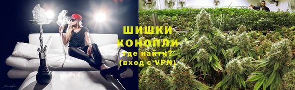 гашик Алексеевка