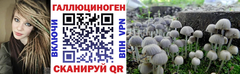 даркнет какой сайт  купить наркотики сайты  Анапа  Галлюциногенные грибы Psilocybe 
